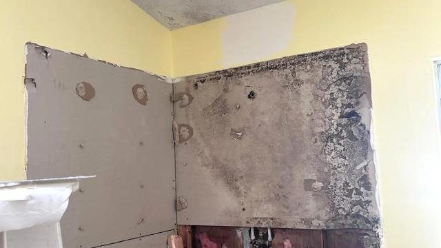 Mold found behind a bathroom wall after a leak